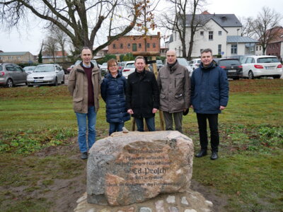 Foto zur Meldung: 100 Jahre Firma Ed. Prosch KG in Perleberg: Jubilar schenkt den Perlebergern einen persischen Eisenholzbaum