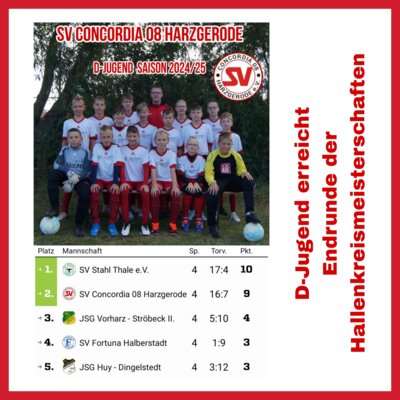 D-Jugend erreicht Endrunde der HKM