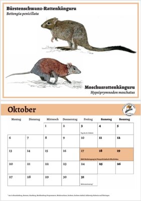 Meldung: Nachdruck BAG-Kalender 2025