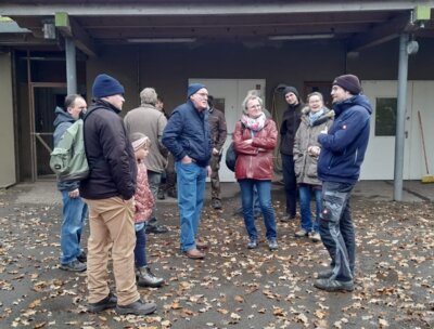 Sattelschwein, Zucht, bedroht, Rasse, Schwein (Bild vergrößern)