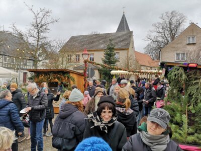 Foto zu Meldung: Weihnachtsmarkt in Brück