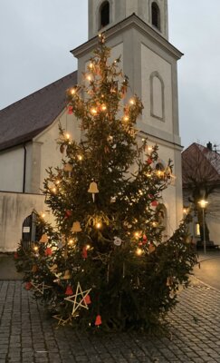 Weihnachtsbäume der Gemeinde (Bild vergr&ouml;&szlig;ern)