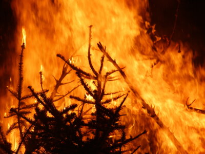 Neujahrsfeuer 2025 (Bild vergrößern)