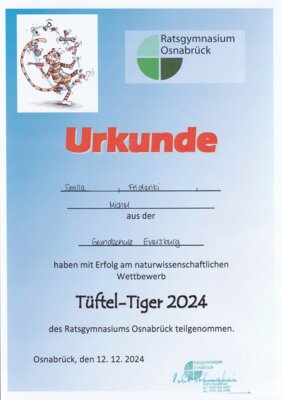 Tüfteltiger 2024