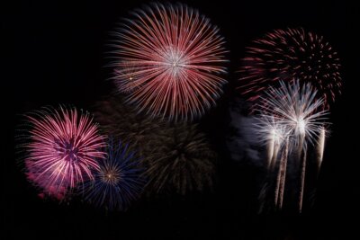 Meldung: Ein Appell zu Silvester