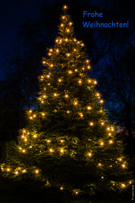 Frohes Weihnachtsfest! (Bild vergr&ouml;&szlig;ern)