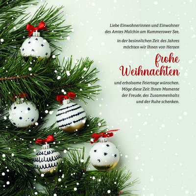 Foto zur Meldung: Weihnachtsgruß Amt Malchin am Kummerower See