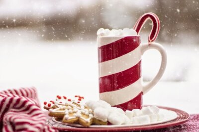 Symbolbild von Pixabay: roter Teller mit Keksen und Marshmallows, darauf ein weißer Becher mit einer roten Spirale, gefüllt mit Marshmallows und Zuckerstangen