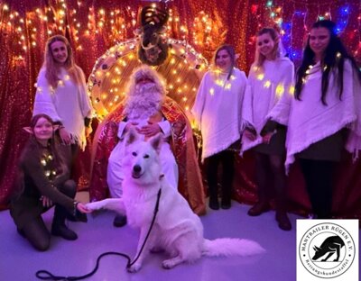 Ein voller Erfolg: Die Nikolauswerkstatt 2024 in Sassnitz