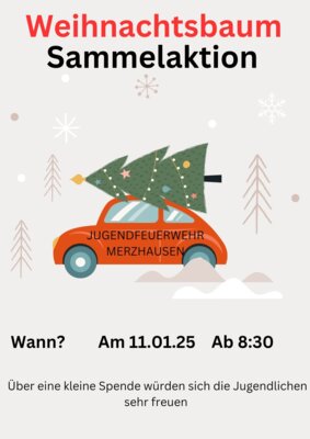 Samstag, 11.01.2025 / Jugendfeuerwehr holt die Weihnachtsbäume ab