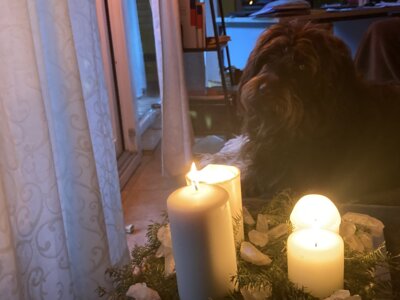 Keine Termine (Bild vergr&ouml;&szlig;ern)