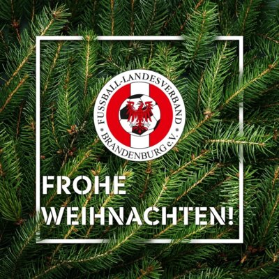 Ein starkes Jahr dank euch – Besinnliche Weihnachten und ein erfolgreiches 2025!
