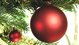 Schöne Weihnachten und ein gutes Jahr 2025