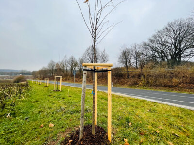 Klimaschutz (Bild vergrößern)