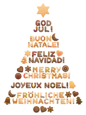 Frohe Weihnachten wünscht die Närrische Europäische Gemeinschaft! Möge diese festliche Zeit voller Lachen, Freude und gemeinsamer Momente sein. Lasst uns die Vielfalt, die uns verbindet, feiern und di