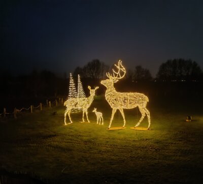 Meldung: Frohe Weihnachten!