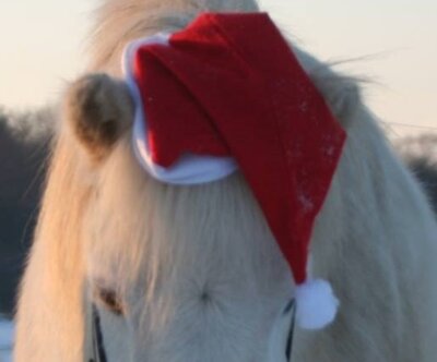 Frohe Weihnachten!
