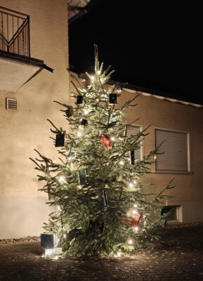 Weihnachtsgrüße