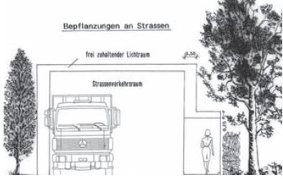 Foto zur Meldung: Überwuchs zurückschneiden