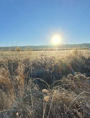 Morgenfrost und Sonnenschein Ende 2024