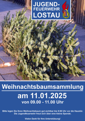 Weihnachtsbaumsammlung am 11. Januar 2025