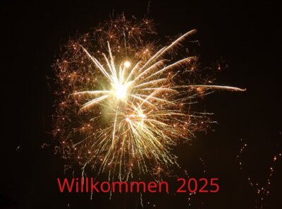 Feuerwerk zum Jahreswechsel (Foto: privat) (Bild vergr&ouml;&szlig;ern)
