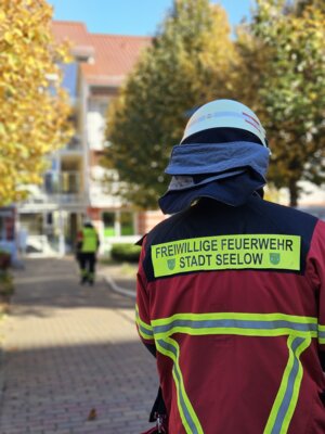 Jahresrückblick 2024 (Bild vergrößern)