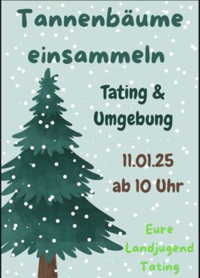 Meldung: Tannenbäume sammeln