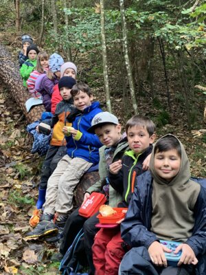 Meldung: Besuch im Wald Kl.2b