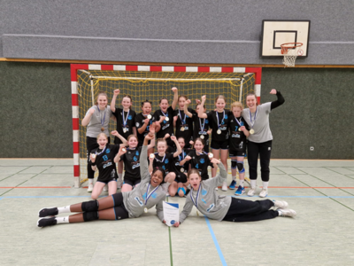 Turniersieger w2013