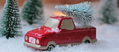 Weihnachtsbaum-Sammelaktion am Samstag, den 11.01.2025 (Bild vergrößern)