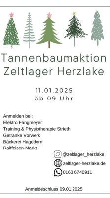 Tannenbaumaktion Zeltlager Herzlake am 11.01.2025 (Bild vergrößern)