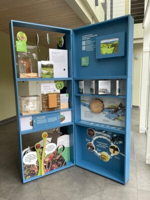 Neue Wanderausstellung Ein Naturschutzgroßprojekt im Setzkasten (Bild vergrößern)