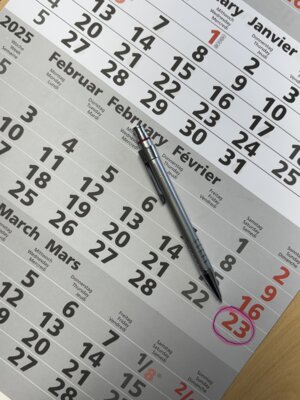 +++ Wichtige Informationen zur Bundestagswahl 2025 +++ (Bild vergrößern)