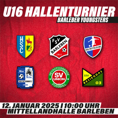 B-Jugend Hallenturnier (Bild vergrößern)