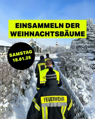 Meldung: Feuerwehr sammelt Weihnachtsbäume ein