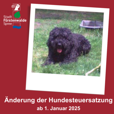 Änderung der Hundesteuersatzung der Stadt Fürstenwalde/Spree ab 01.01.2025 (Bild vergrößern)
