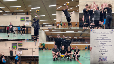 Volleyball Hobbyturnier (Bild vergrößern)