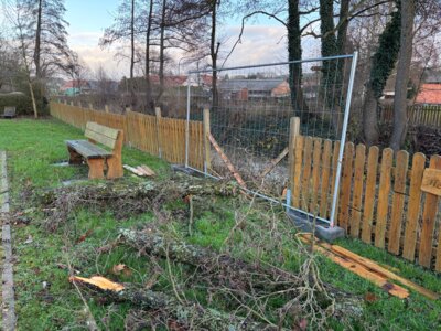 Schaden durch umgestürzten Baum an Antreffufer