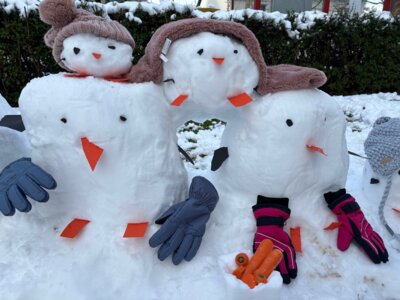 Schneekunst der Waschbärenklasse