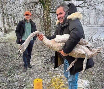 Meldung: Feuerwehr rettet Schwan vom Eis