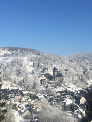 Lauscha tritt dem Naturpark Thüringer Wald bei: Gemeinsam für die Region! (Bild vergrößern)