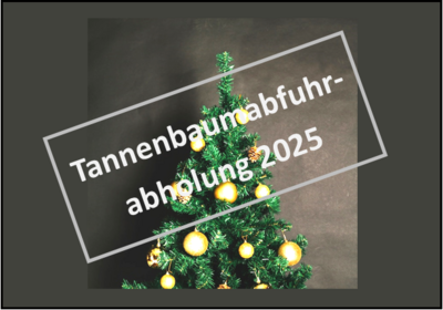 Letzte Chance Tannenbaumabfuhr (Bild vergrößern)