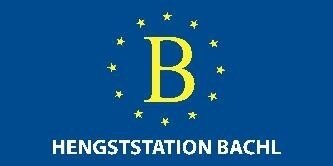 BACHL WEEKEND 2025 – (Bild vergrößern)
