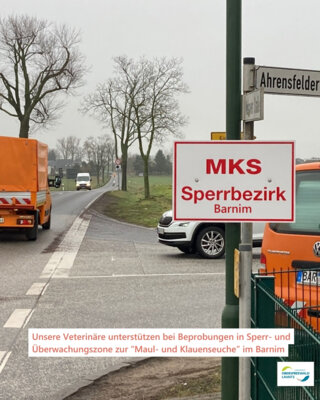 Foto zur Meldung: Amtshilfe: OSL-Veterinäre unterstützen bei Beprobungen in der Überwachungszone zur “Maul- und Klauenseuche” im Landkreis Barnim