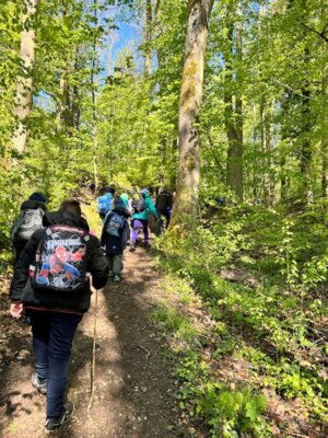Wir überzeugen mit Waldwissen