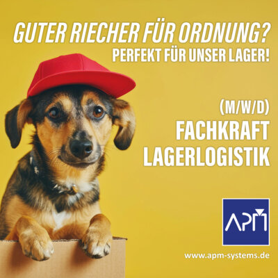 Fachkraft Lagerlogistik (m/w/d): Wir suchen Dich im Lager! (Bild vergrößern)