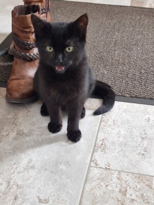 Grüsse von Sammy (Bild vergrößern)