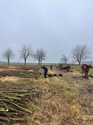 Meldung: Vorbereitungen auf Fließgewässer-Praxisseminar