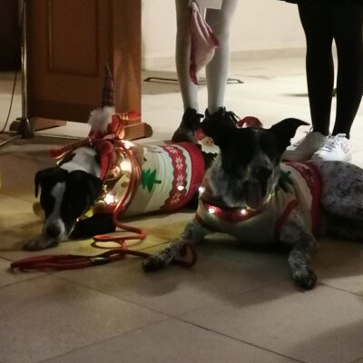 Weihnachtsgottesdienst 20204